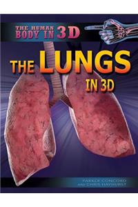 Lungs in 3D