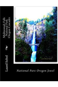 Multnomah Falls National Park Oregon Cascades