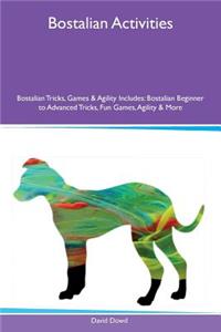Bostalian Activities Bostalian Tricks, Games & Agility Includes