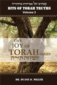 Bits of Torah Truths, Volume 3, The Joy of Torah