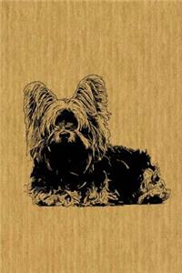 Skye Terrier