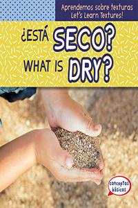 ¿Está Seco? / What Is Dry?