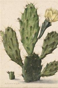 Pear Cactus in Bloom Antique Botanical Art Journal