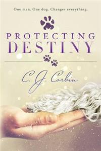 Protecting Destiny