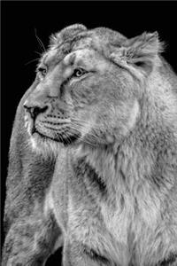 Lioness Any Day Planner Notebook