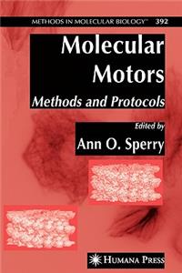 Molecular Motors