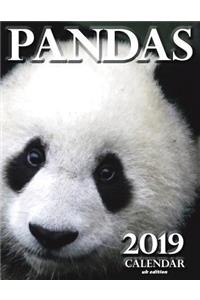 Pandas 2019 Calendar (UK Edition)