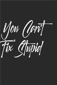 You Can't Fix Stupid