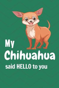 My Chihuahua said HELLO to you