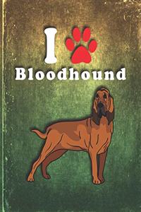 Bloodhound