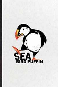 Sea Bird Puffin