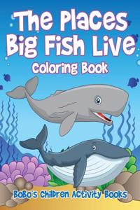 Places Big Fish Live Coloring Book