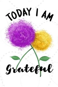 Today I Am Grateful Gratitude Notebook