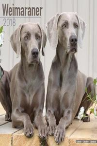 Weimaraner Calendar 2018 (Square)