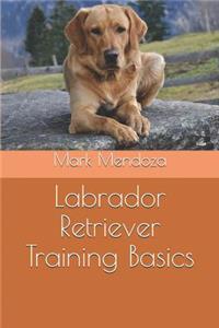 Labrador Retriever Training Basics