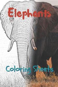 Elephant Coloring Sheets