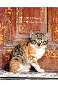 2019 - 2020 18 Month Weekly & Monthly Planner