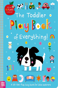 Toddler Play Book of Everything!