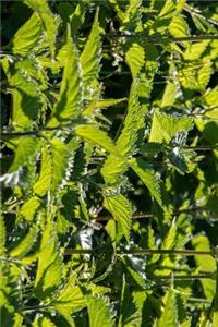 Field of Stinging Nettles Journal