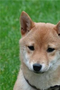 Super Cute Shiba Inu Puppy Dog Journal