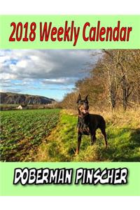 2018 Weekly Calendar Doberman Pinscher