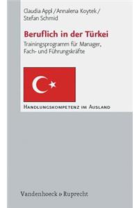 Beruflich in Der Turkei: Trainingsprogramm Fur Manager, Fach- Und Fuhrungskrafte