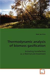 Thermodynamic analysis of biomass gasification