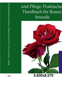 Die Rose, ihre Anzucht und Pflege