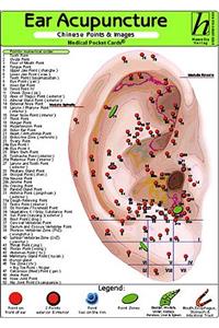 Ear Acupuncture