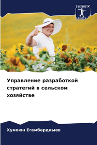 Управление разработкой стратегий в сельс