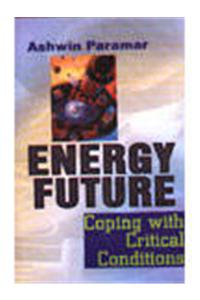 Energy Future: Coping with Critical Conditions