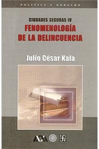 Ciudades Seguras IV. Fenomenologia de La Delincuencia