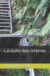 puits des ombres