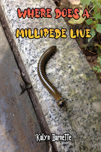 Where Does a Millipede Live