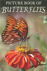 Picture Book of Butterflies