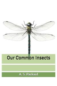 Our Common Insects