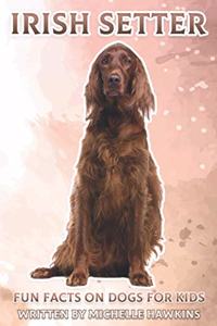 Irish Setter