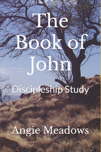 Book of John