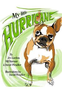 My Little Hurricane