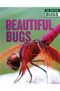 Beautiful Bugs