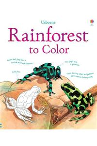 Rainforest to Color