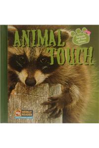 Animal Touch