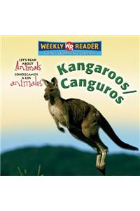 Kangaroos / Canguros