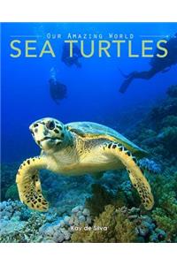 Sea Turtles