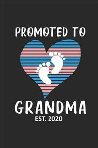 Promoted To Grandma Est. 2020