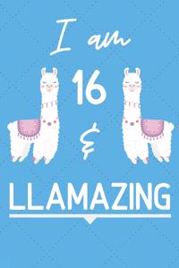 I Am 16 And Llamazing