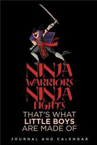 Ninja Warriors Ninja Fights That's What Little Boys Are Made of