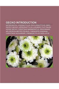 Gecko Introduction