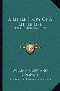 Little Story Of A Little Life
