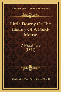 Little Downy Or The History Of A Field-Mouse